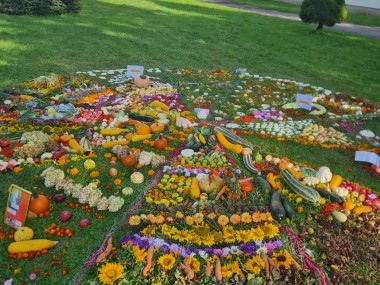 “Vasariņa jaukā Lēnām atvadās…”(Dz.Rinkule –Zemzare)